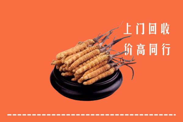 德宏回收散虫草