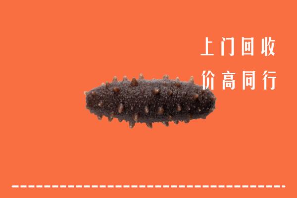 德宏高价回收海参