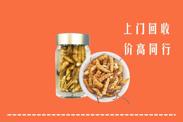德宏回收冬虫夏草